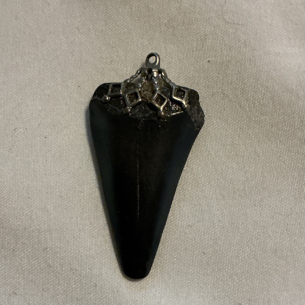 Vintage Polished Shark’s Tooth Pendant for unisex necklace (not included)